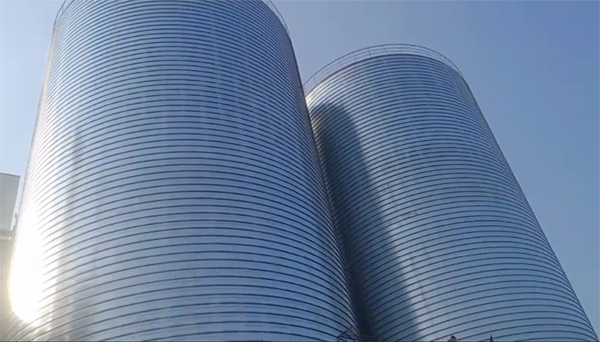 老街街道2座混凝土高架卷板仓